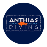 Anthias-Diving.png