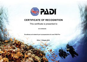IDC Sardegna Certificate of Recognition