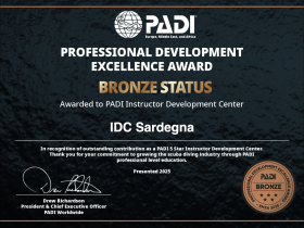 PADI Professional Development Excellence Award 2025