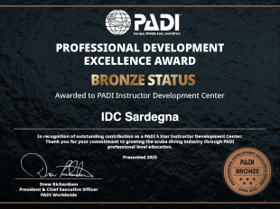 PADI Professional Development Excellence Award 2025